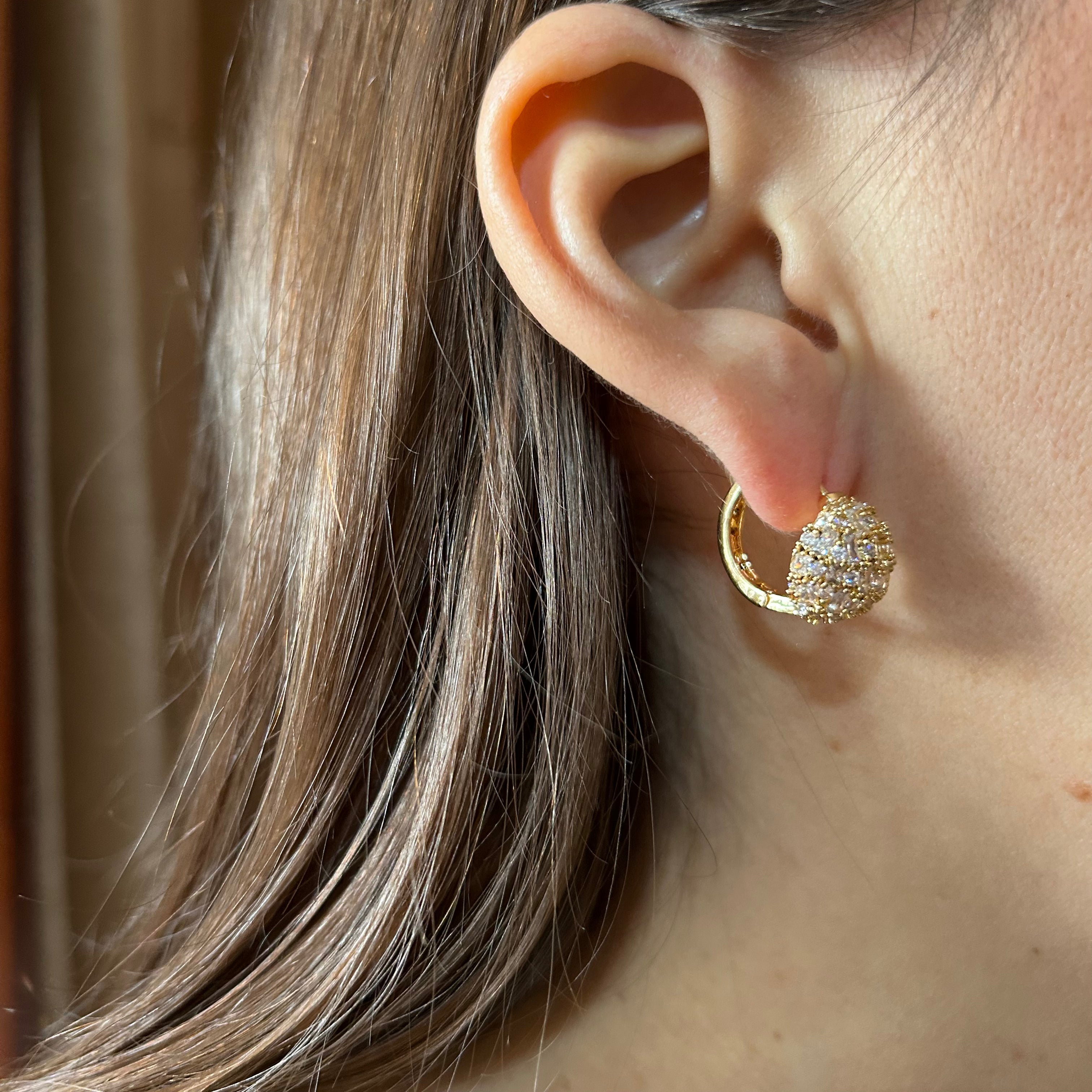Aretes Fiona